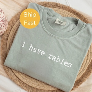 Comfort Colors® I Have Rabies Shirt, Funny Dark Humor Tee, Unhinged Meme Shirt, Weird Sarcastic Shirt, Edgy Humor Shirt, Sarcastic Women Tee