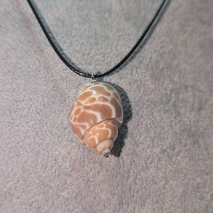 Puede incluir: Un collar con colgante de concha. El colgante es una concha natural con forma de espiral, con un patrón de marcas marrones y blancas. Cuelga de un collar de cordón negro.