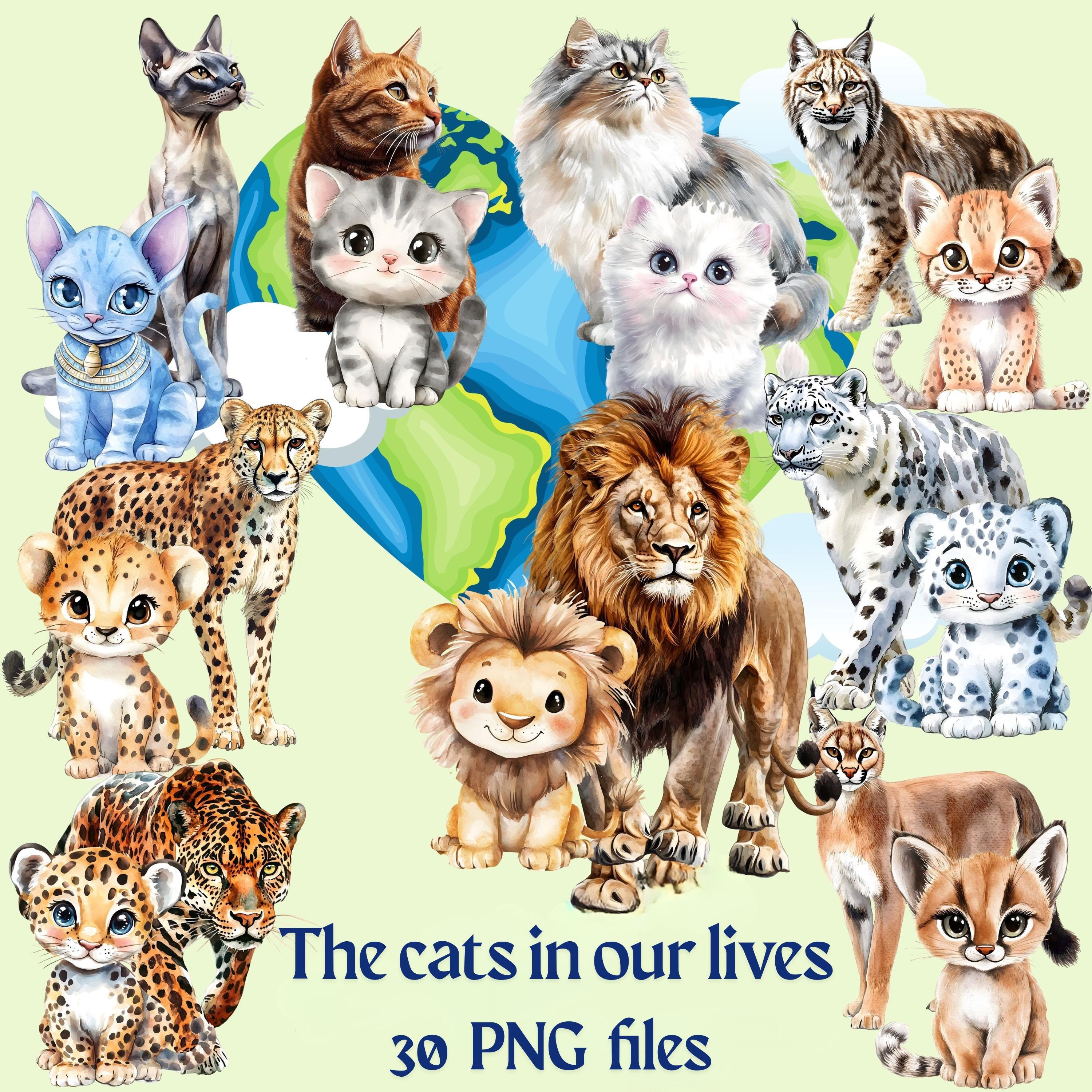 Wildcats SVG, Big Cats SVG, Tiger Silhouette, Wildcat Illustration, Cat Quotes PNG, Cat Lover Svg, Cricut Cut Files, Wildcat Crafts, Digital