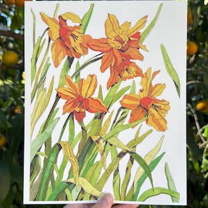 Daffodils 8x10 Art Print