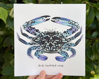 Blue Swimmer Crab 7x7 Art Print