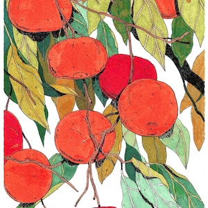 Oranges Art Print