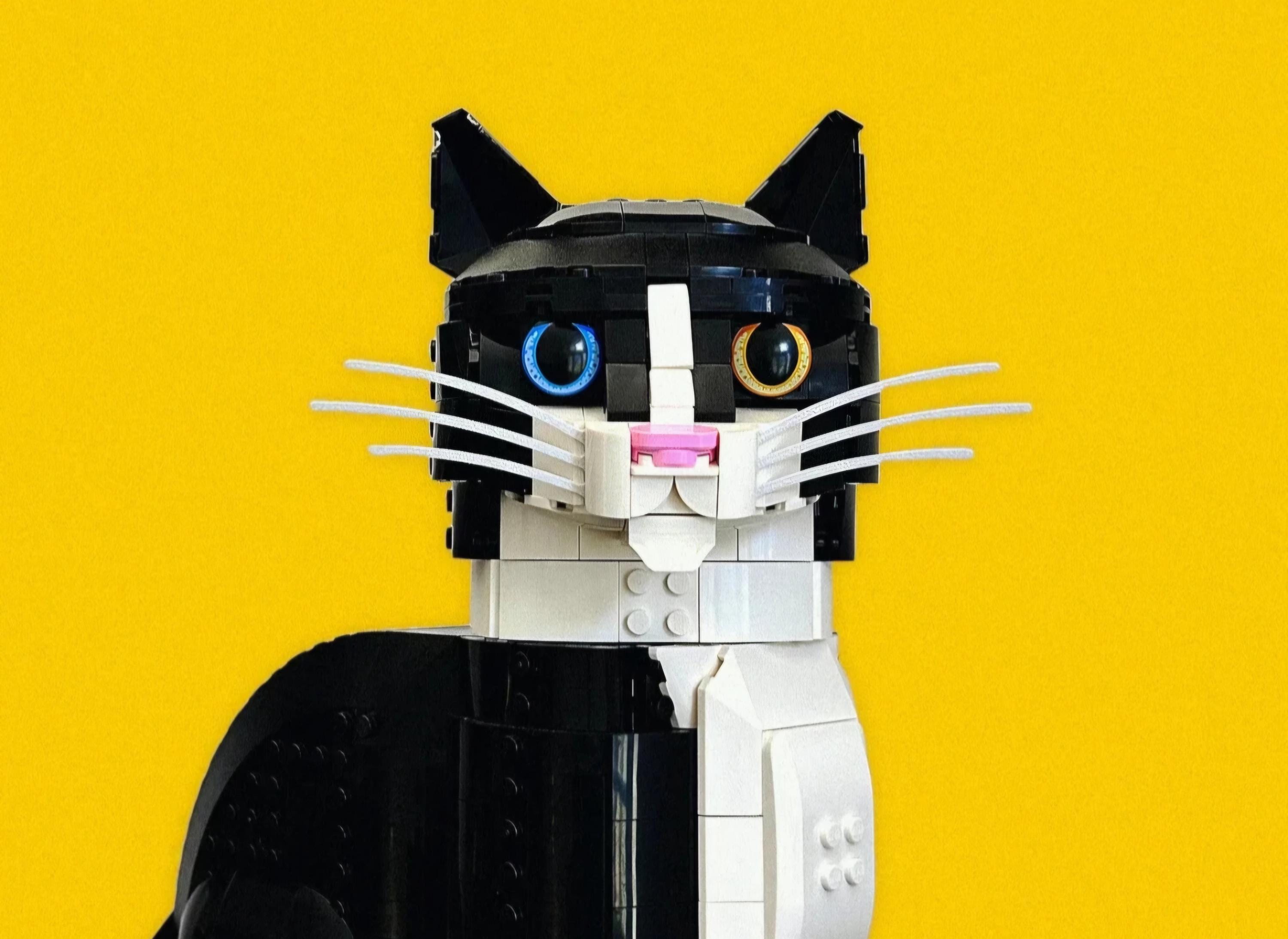 Buy Cat Legos Online In India India