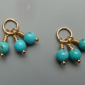 Nacozari Turquoise Earring Charms, Gold Earring Charms, Silver Earring Charms, Interchangeable, Charms For Hoops, Changeable Charms, For Her