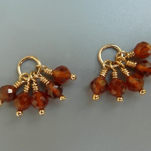 May include: A pair of gold earrings with brown gemstone accents. Each earring features a small gold hoop with five brown gemstones dangling from it.