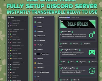Servidor Discord com tema verde-limão: configuração completa com banners e emojis