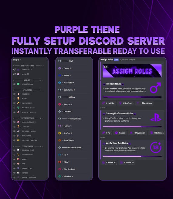 Fully Setup Purple Theme Discord Server | Ready to Use Instant Delivery + Ownership Transfer