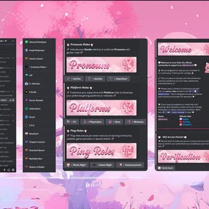 Configuración profesional de un servidor de Discord