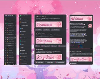 Professional discord server setup