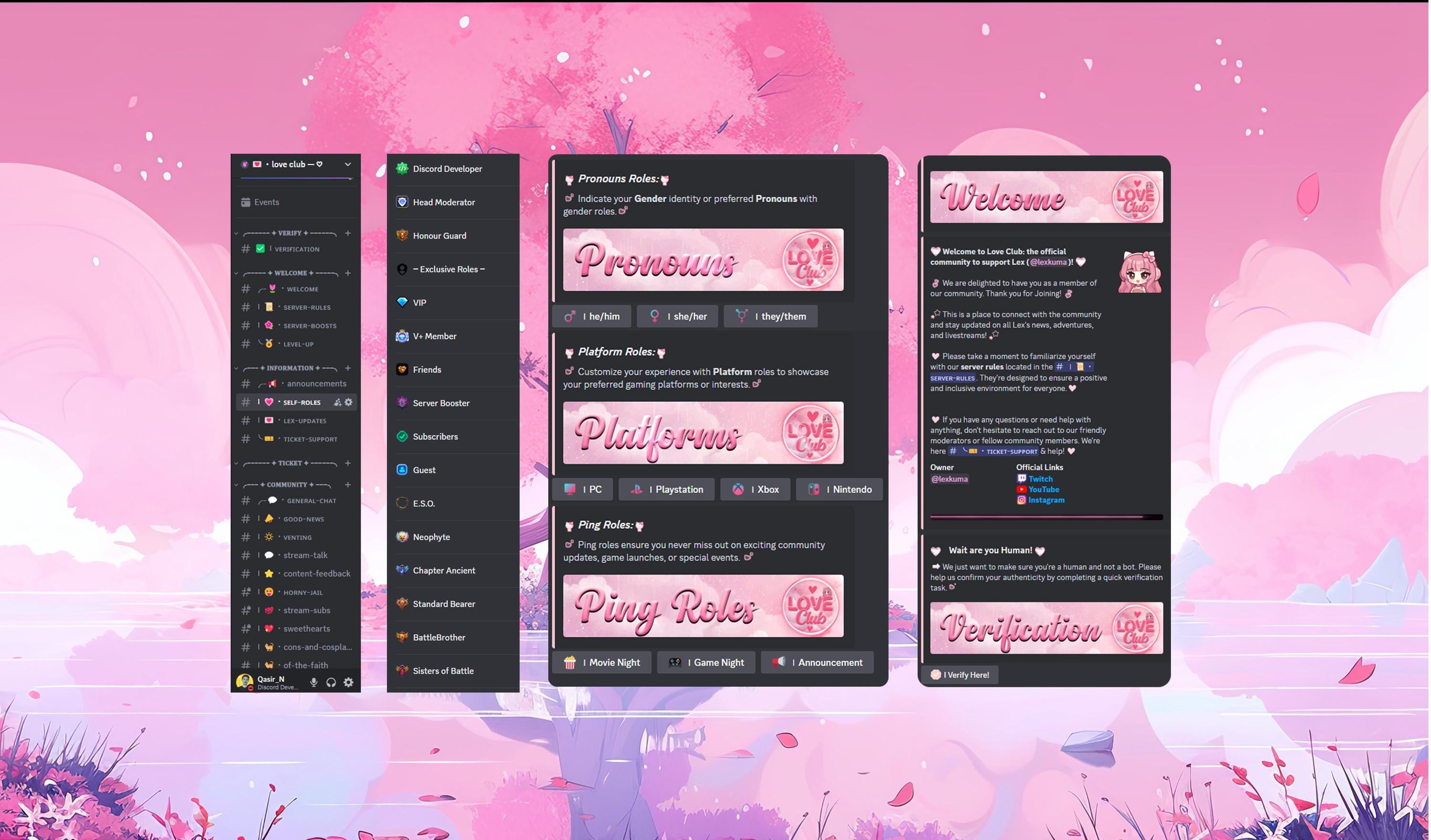 Fully Custom Discord Server Setup - Etsy