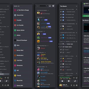 May include: A screenshot of a Discord server called "The Glacier" with a list of members and their roles. The roles include "The Fish in Charge", "Discord Dev", "Founder", "Co-Founder", "Senior Admin", "Admin", "Discord Developer", "Beta", "Senior Mod", "Moderators", "Trial Mod", "Streamers", "VIP", "Friends", "Music Bot", and "Games Bot". The server also has a section for rules, which include following Discord's TOS, being respectful to all members, no advertising, and no NSFW content.