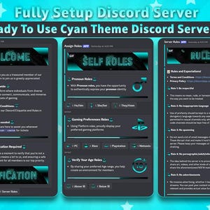 Fully Setup Cyan-Themed Discord Server | Aesthetic Blue Server with Custom Emojis, Roles & Instant Ownership