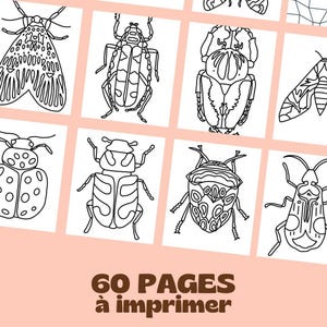 Livre de Coloriage Insectes à Imprimer – 60 ページ、子供と大人 |電話番号 PDF |自然、リラクゼーション、見習いのアクティビティ