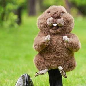 May include: A plush brown beaver golf club head cover with a black sock-like sleeve. The beaver has a smiling expression and is standing on a golf club. The golf club head is black with red accents, resting on green grass.