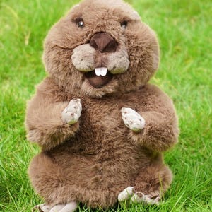 Puede incluir: Un peluche de castor marr&oacute;n con una expresi&oacute;n amigable, sentado sobre hierba verde. El peluche tiene una cabeza grande, ojos peque&ntilde;os y prominentes dientes frontales. Sus patas y pies son de un tono marr&oacute;n m&aacute;s claro.