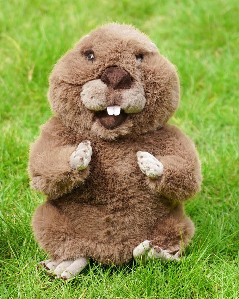 Puede incluir: Un peluche de castor marr&oacute;n con una expresi&oacute;n amigable, sentado sobre hierba verde. El peluche tiene una cabeza grande, ojos peque&ntilde;os y prominentes dientes frontales. Sus patas y pies son de un tono marr&oacute;n m&aacute;s claro.