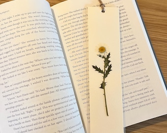 Daisy Bookmark On Watercolour Paper And Laminated With Twine, Real Pressed Flowers, For Book Lovers