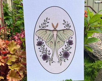 Botanical Luna Moth A4 Print On Linen Card
