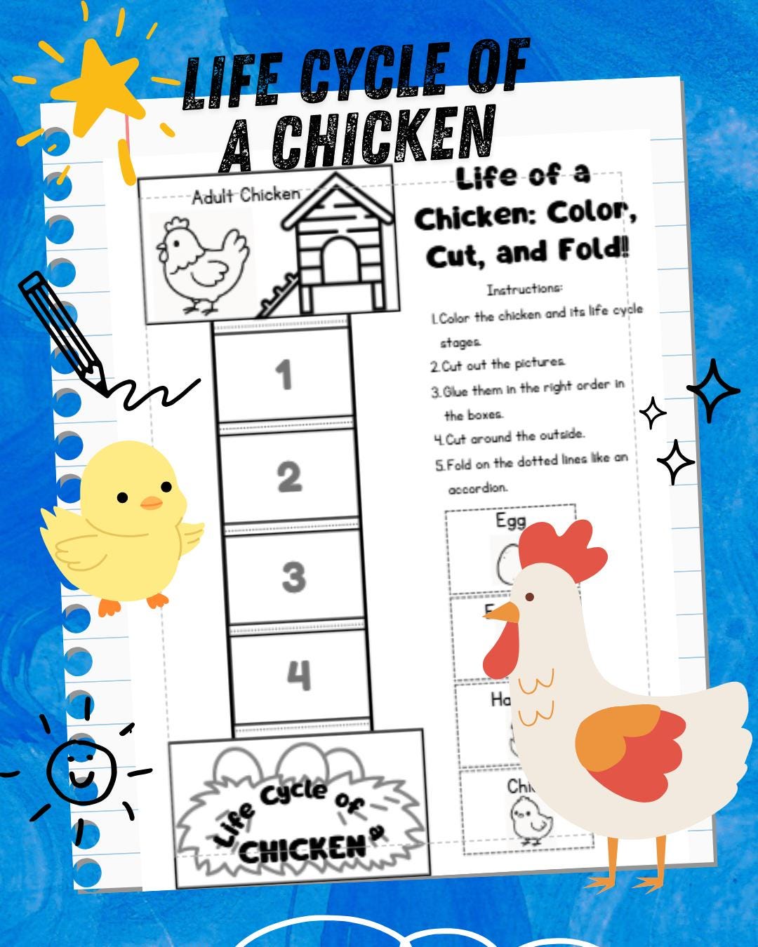 鶏のライフサイクルの塗り絵 | 農場科学ワークシート | ホームスクール生物学単元 | 鶏のライフサイクル（PDF） | 農場動物のレッスン -  Etsy 日本, image size:1080x1350