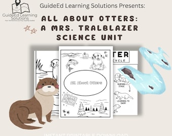 All About Otters Coloring Page | Otter Science Activity | River Habitat Study | Animal Science Printable | STEM Worksheet | Nature Unit