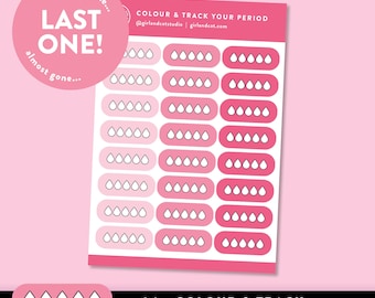 Period Tracker Planner Stickers: 24 x sticker sheet