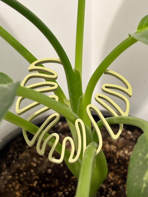 Monstera Rankhilfe, Pflanzenhalter Kletterpflanzen, 3D gedruckte  Pflanzensttze, Philodendron Pothos Rankhilfe - Etsy.de