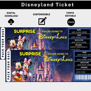 Disneyland Ticket, Surprise Disneyland Ticket, Disneyworld Ticket, Theme Park Ticket, Surprise Ticket Gift, Birthday Gift, Edit in Canva