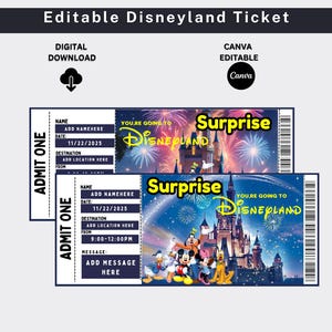 Editable Disneyland Ticket, Surprise Reveal Editable Ticket, Theme Park Ticket, Disneyworld Ticket, Disneyland Ticket For Gifting