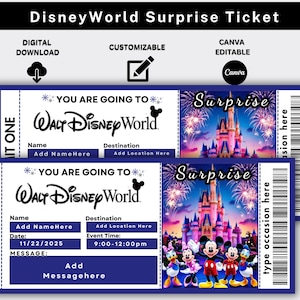 Printable Disney World Ticket, Surprise Reveal Ticket Gift, Theme Park Ticket, Disney World Trip Ticket, Editable Ticket, Digital Download