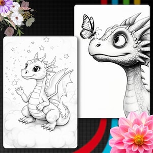 May include: Two black and white line art illustrations featuring a dragon. One shows a dragon sitting on clouds surrounded by stars. The other shows a close-up of a dragon head with a butterfly perched on its nose, rendered in a pencil sketch style.