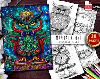 Owl Coloring Book | 38 Mandala Grayscale Pages (Printable PDF)