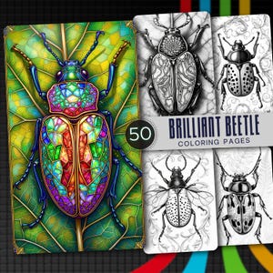 May include: A collection of 50 Brilliant Beetle coloring pages featuring a large, colorful, stained-glass style beetle on a leaf, alongside four black and white line art illustrations of various beetle species with intricate patterns and details.