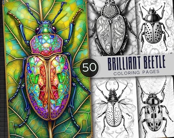 50 Beetle Coloring Pages: Grayscale Insect Illustrations (Digital Download)