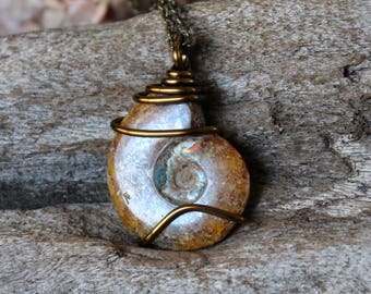 Ammonite Fossil Necklace - Wire Wrapped Shell Fossil Jewelry - Natural Ammonite Jewelry - Gypsy Necklace - Ammonite Necklace - Boho Jewelry