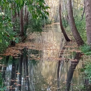 Beautiful parts of U.S.