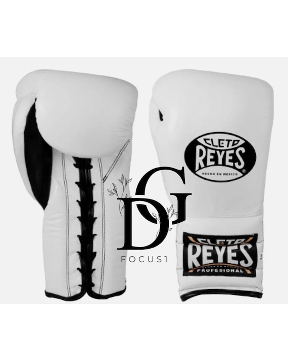 ボクシング Winning   Cleto Reyes   TITLE Winning Vs Cleto Reyes Boxing Gloves - YouTube