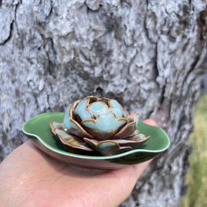 May include: A teal and brown ceramic succulent sculpture on a green, leaf-shaped dish. The handcrafted piece is held in a hand, with a blurred tree trunk in the background. The sculpture is a decorative item for the home.