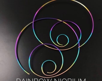 Large  Hypoallergenic Rainbow Niobium Hoops.  Nickel free  Cecile Stewart Jewelry