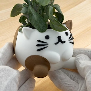 Customizable 3D Printed Cat Planter - Adorable Animal Pot, Succulent & Cactus Holder, Unique Gift for Cat Lovers,  Room Decor