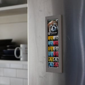 May include: A silver refrigerator with a framed photo of a red panda and a collage of couples. The photo frame is labeled "Oregon Zoo".