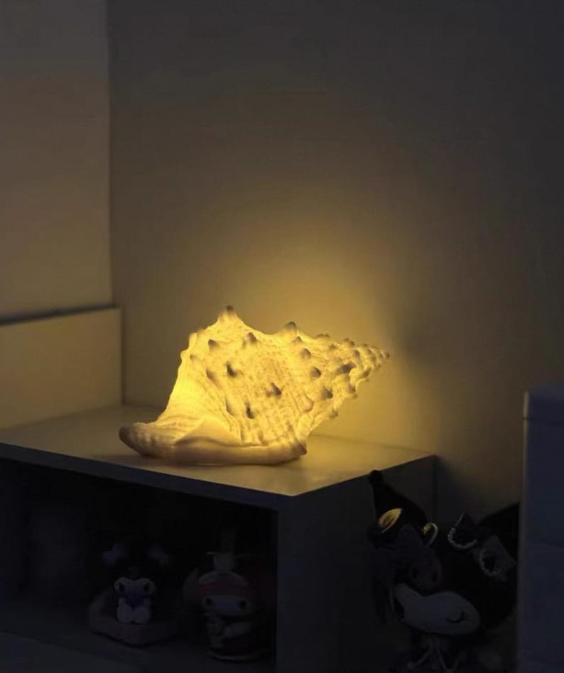 Night Lamp- Sea Shell Conch Sharped Night Light - Etsy