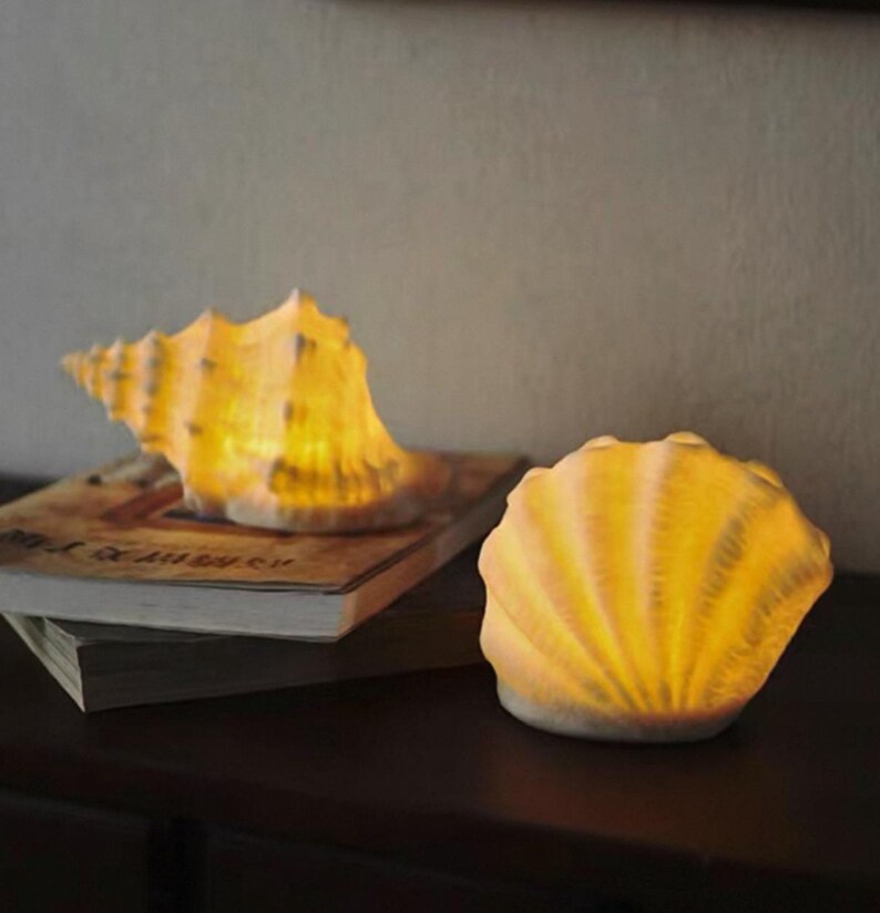 Night Lamp- Sea Shell Conch Sharped Night Light - Etsy