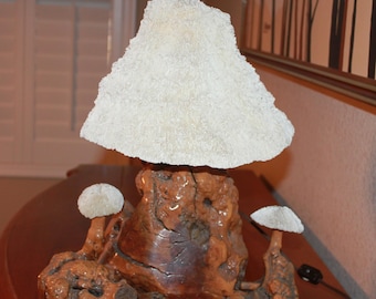 Vintage Burl Wood and Coral Mushroom Lamp 1970's Magic Mushroom Whimsical