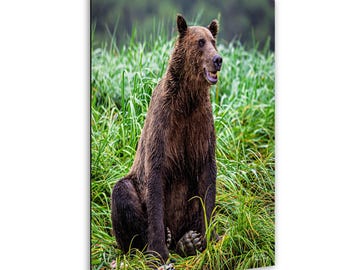May include: A brown grizzly bear sits in tall green grass, its mouth slightly open. The bear's fur appears wet, and the background features more green foliage. The image is a vertical print.