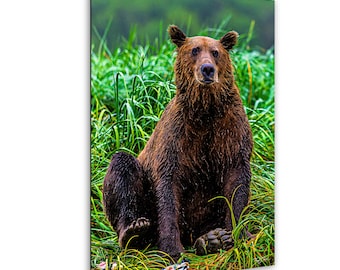 ヒグマの壁飾り - 素朴な小屋の野生動物写真、アラスカの自然を描いたファインアートプリント