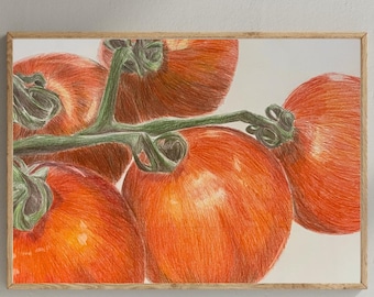 Hand-Drawn Tomato Printable Wall Art | Colored Pencil Realistic Fruit Drawing | Kitchen Decor | Rustic Farmhouse Print | Digital Download