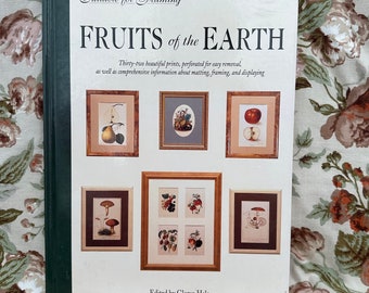 Fruits of The Earth Botanical Prints