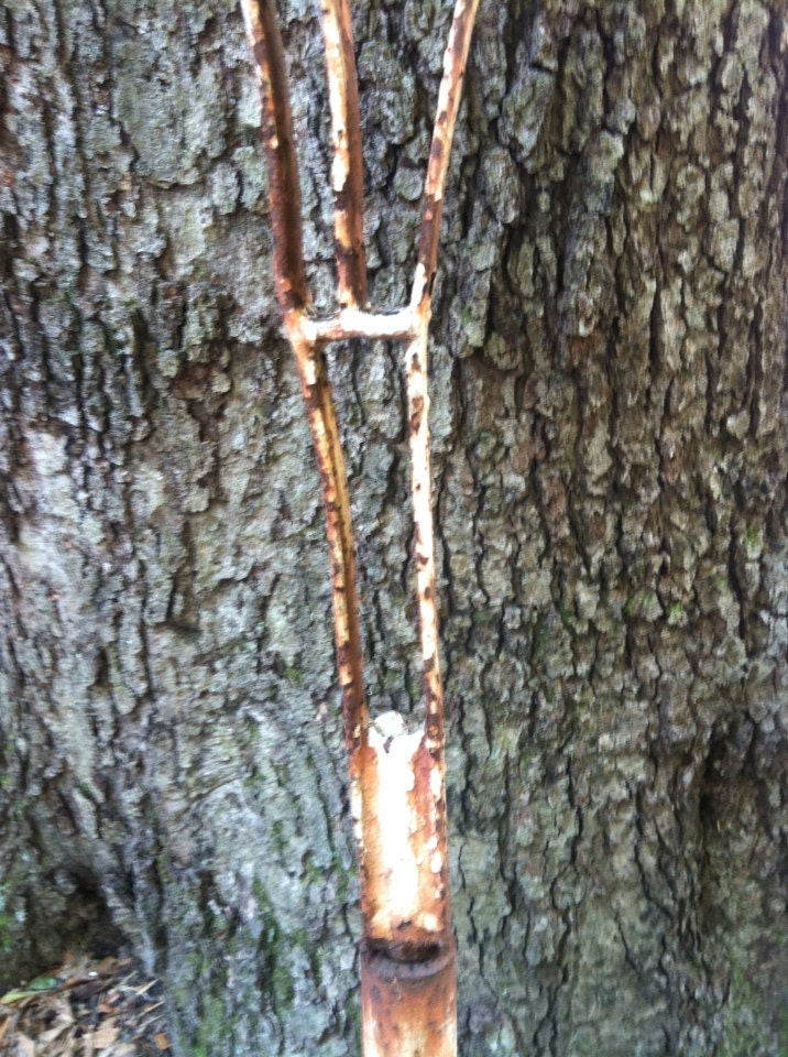 Antique Garden Trellis Rusty Cross Brace/ FREE SHIPPING Etsy