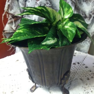 Brass Footed Gatco Planter