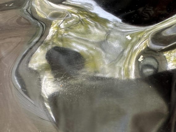 Travel Cases Set of 2 Oriental Pattern - image 6